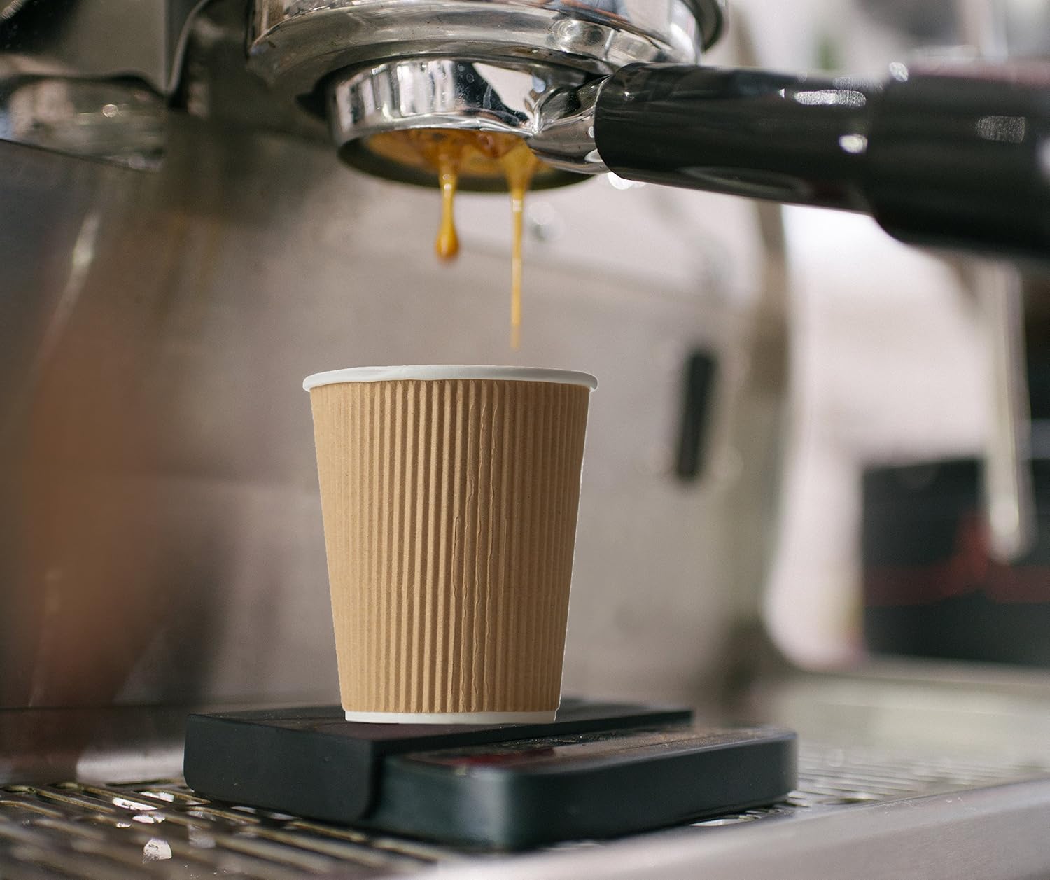 12 oz Ripple Insulated Coffee  - Coffee Tea Hot ulasan dan harga